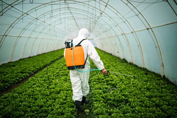 Best Affordable Pest Control Services  in Clinton, TN