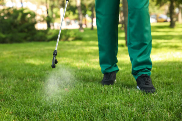 Best Affordable Pest Control Services  in Clinton, TN