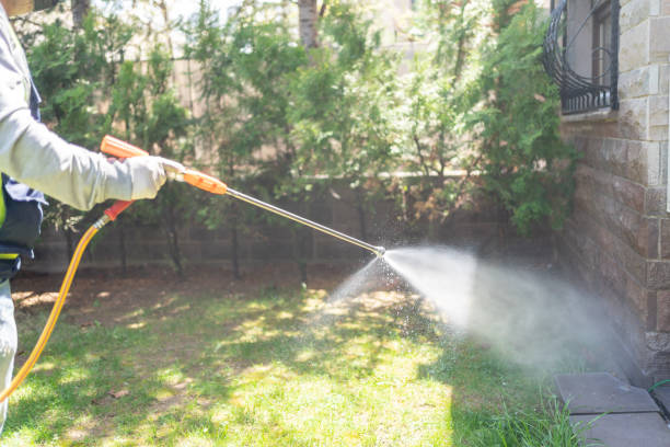 Best Cockroach Control Services  in Clinton, TN