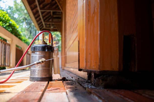 Best Pest Prevention Services  in Clinton, TN