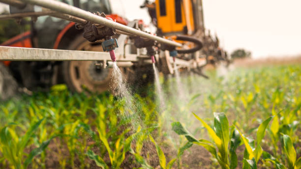 Best Mosquito Control Services  in Clinton, TN